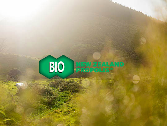 New-zealand-landscape-with-bio30